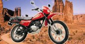2006 Loncin LX 150-4B photo